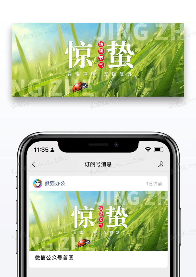 简约二十四节气惊蛰微信公众封面图片