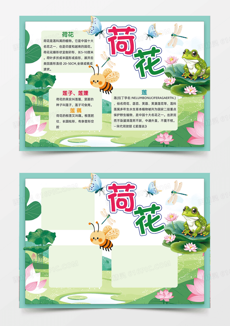 蓝绿色荷花莲藕荷叶插画简约手抄报