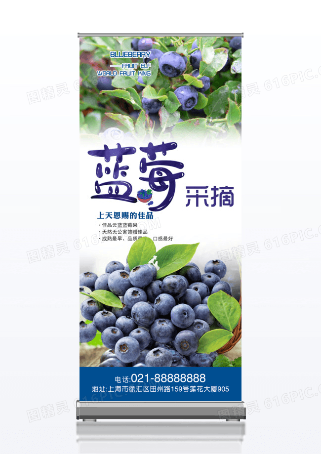 水果蓝莓采摘x展架