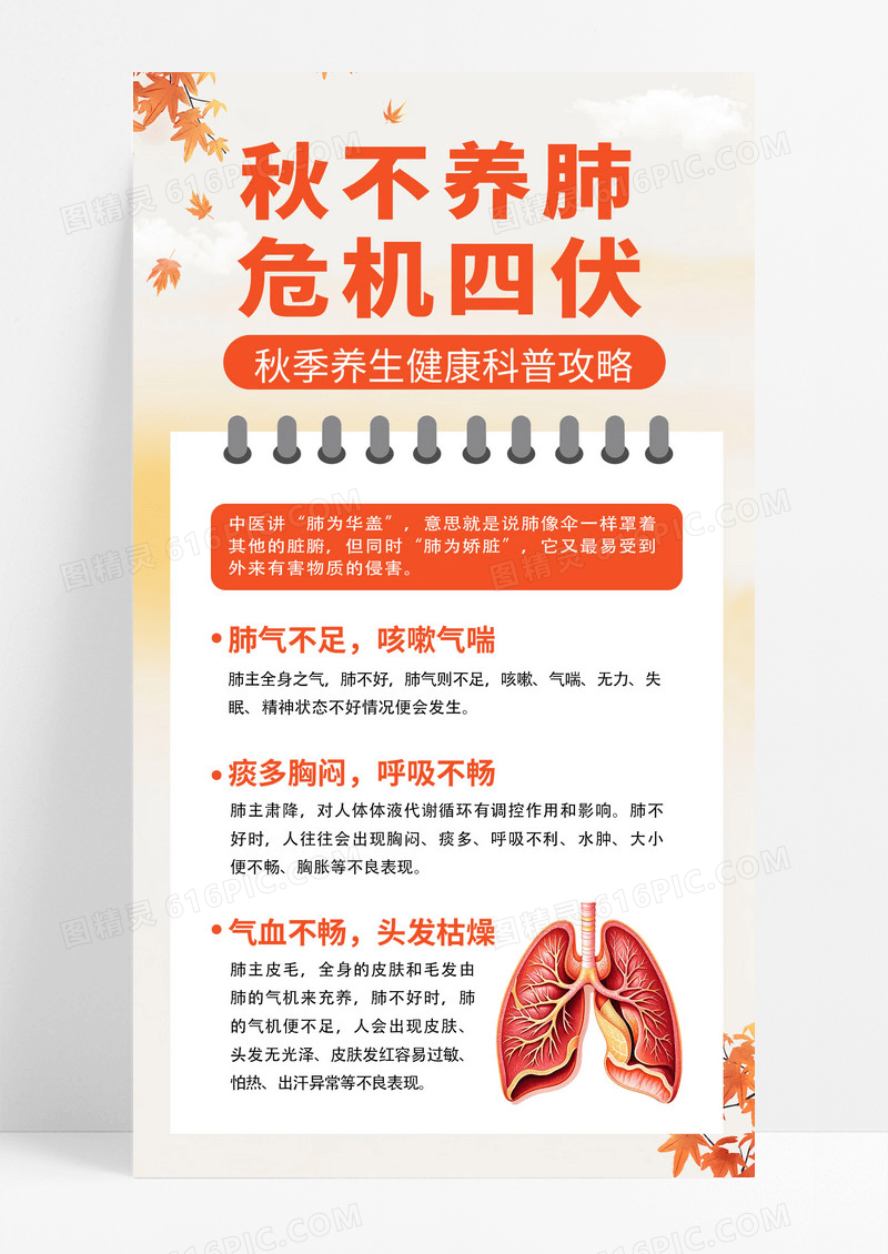 简约手绘秋季养肺养生宣传海报