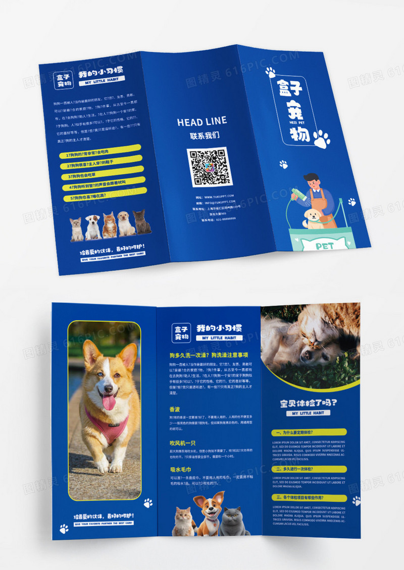 蓝色简约创意大气宠物折页