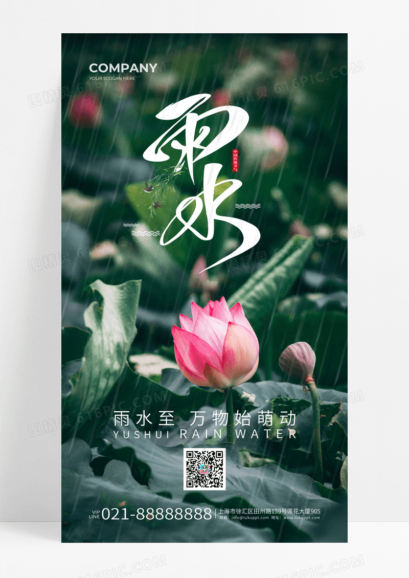 绿色荷花风景2025年雨水节气摄影图海报