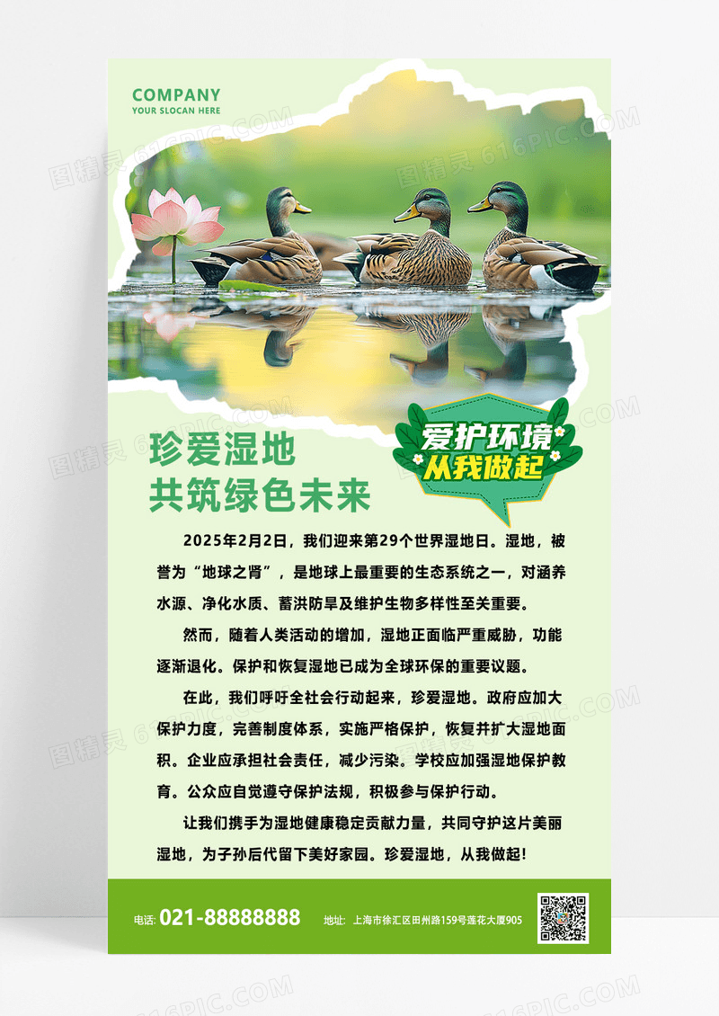 绿色简约大气2025世界湿地日海报宣传