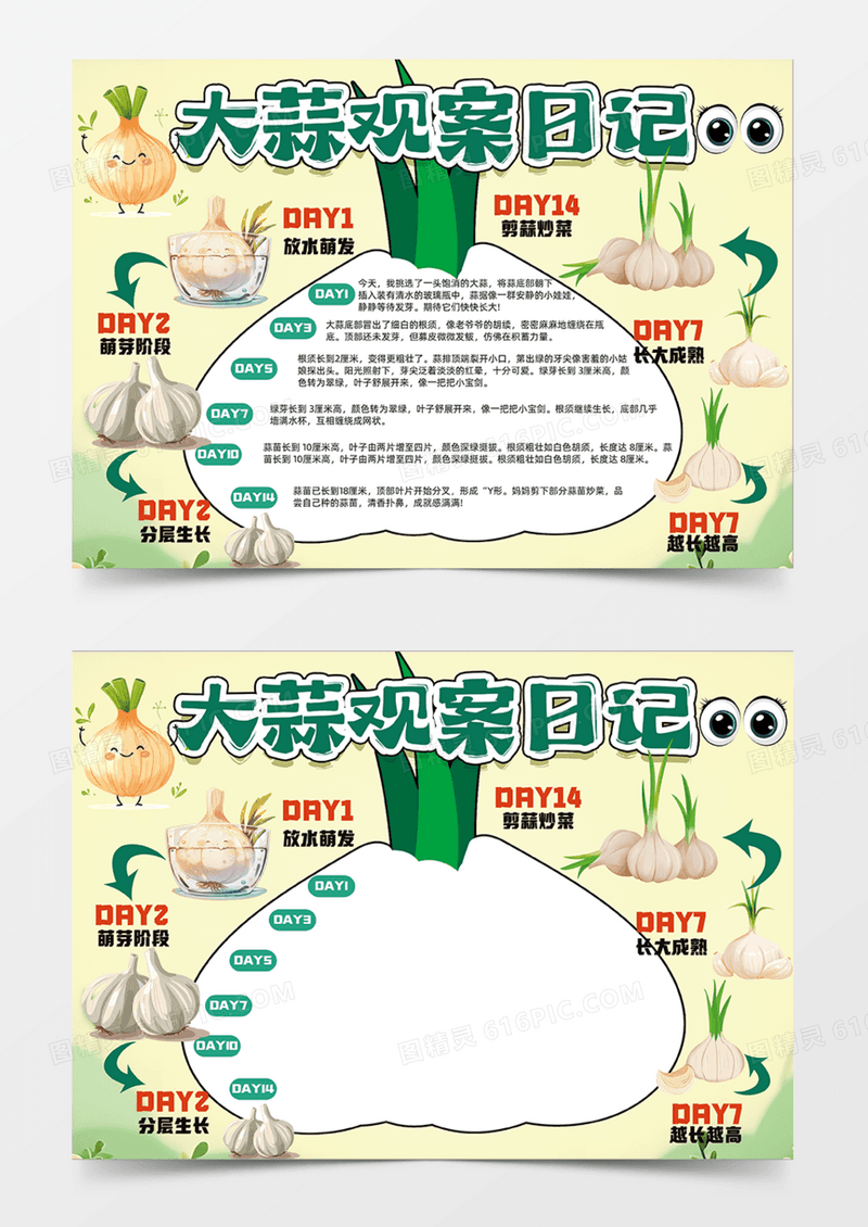 大蒜观察日可爱插画食物手抄报