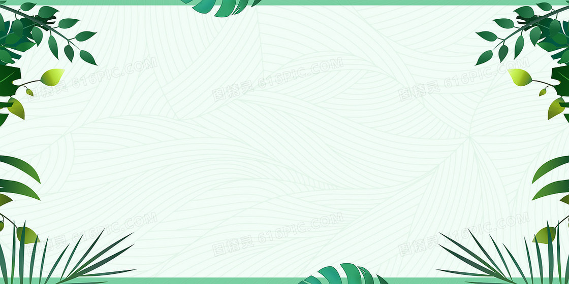清新树叶边框背景