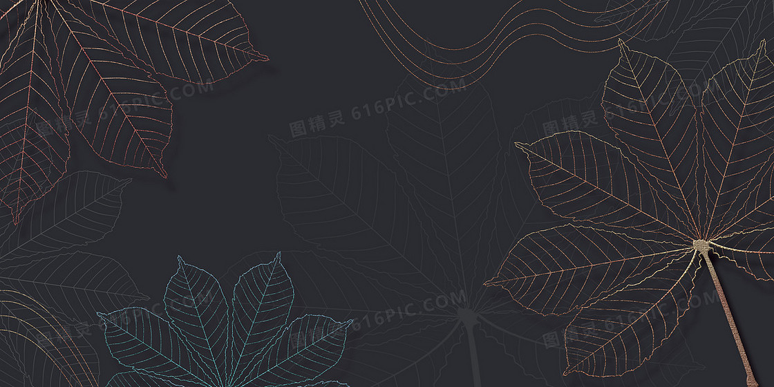 黑色商务质感树叶叶脉纹理背景