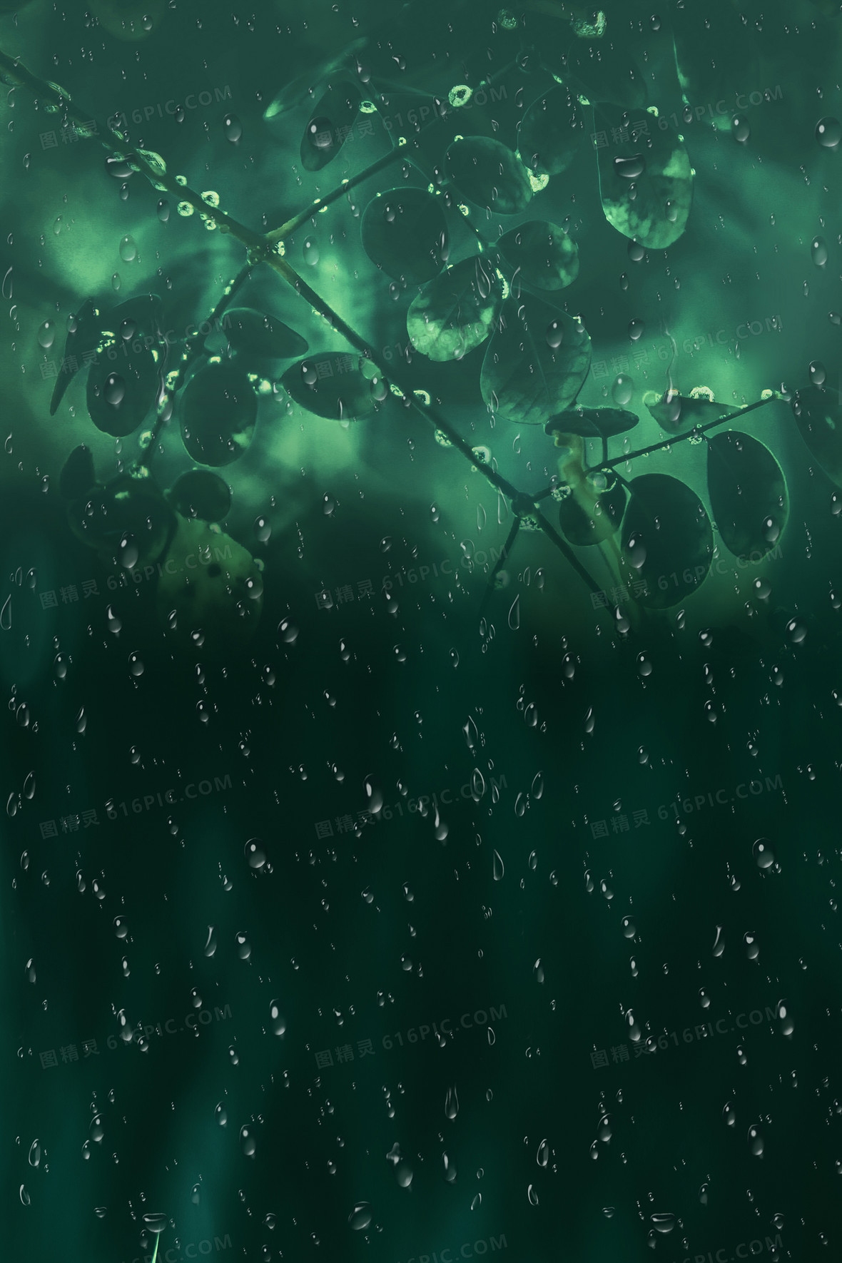 春季雨水传统节气背景