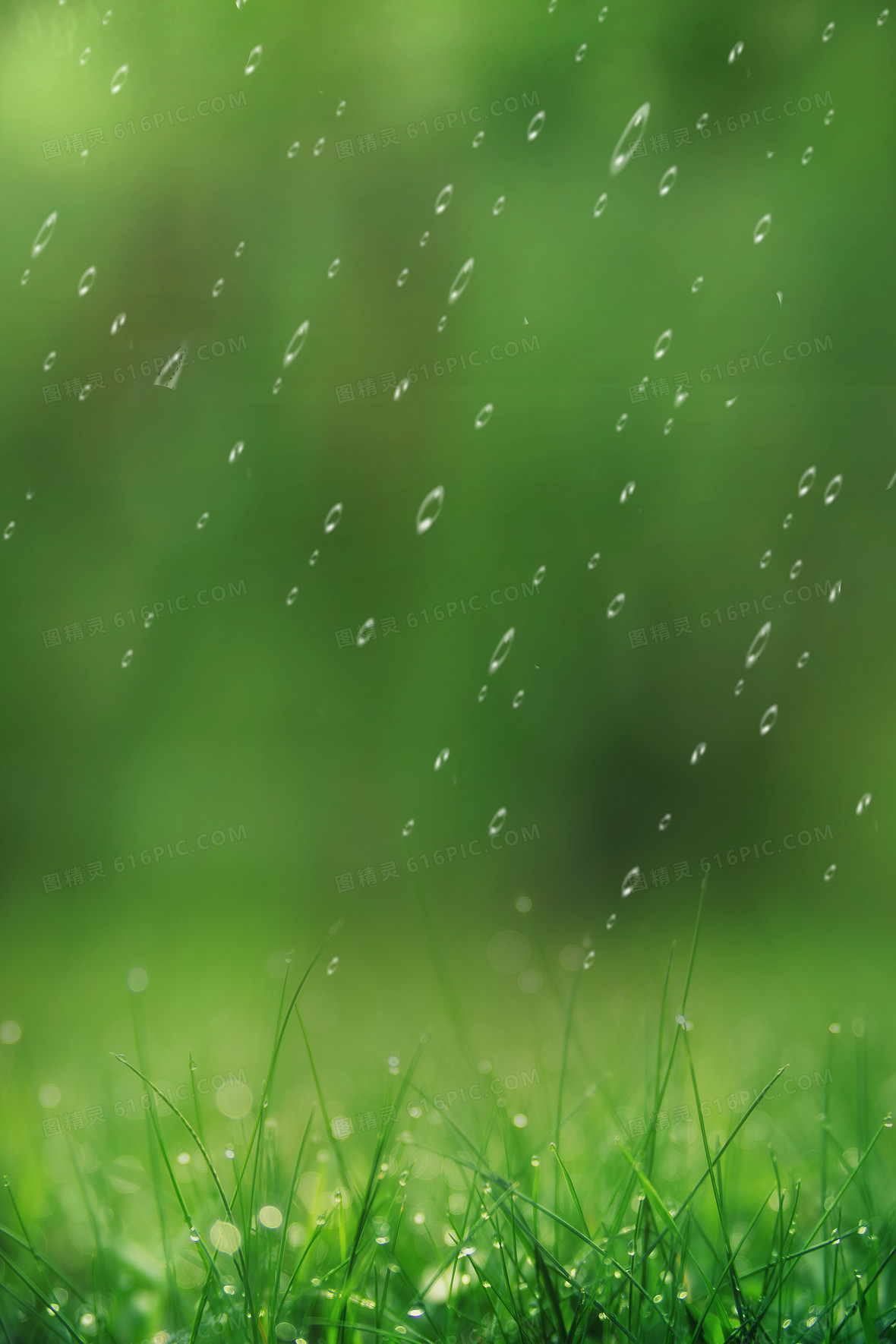 谷雨背景雨水雨水背景图精灵为您提供春季雨水传统节气背景免费下载