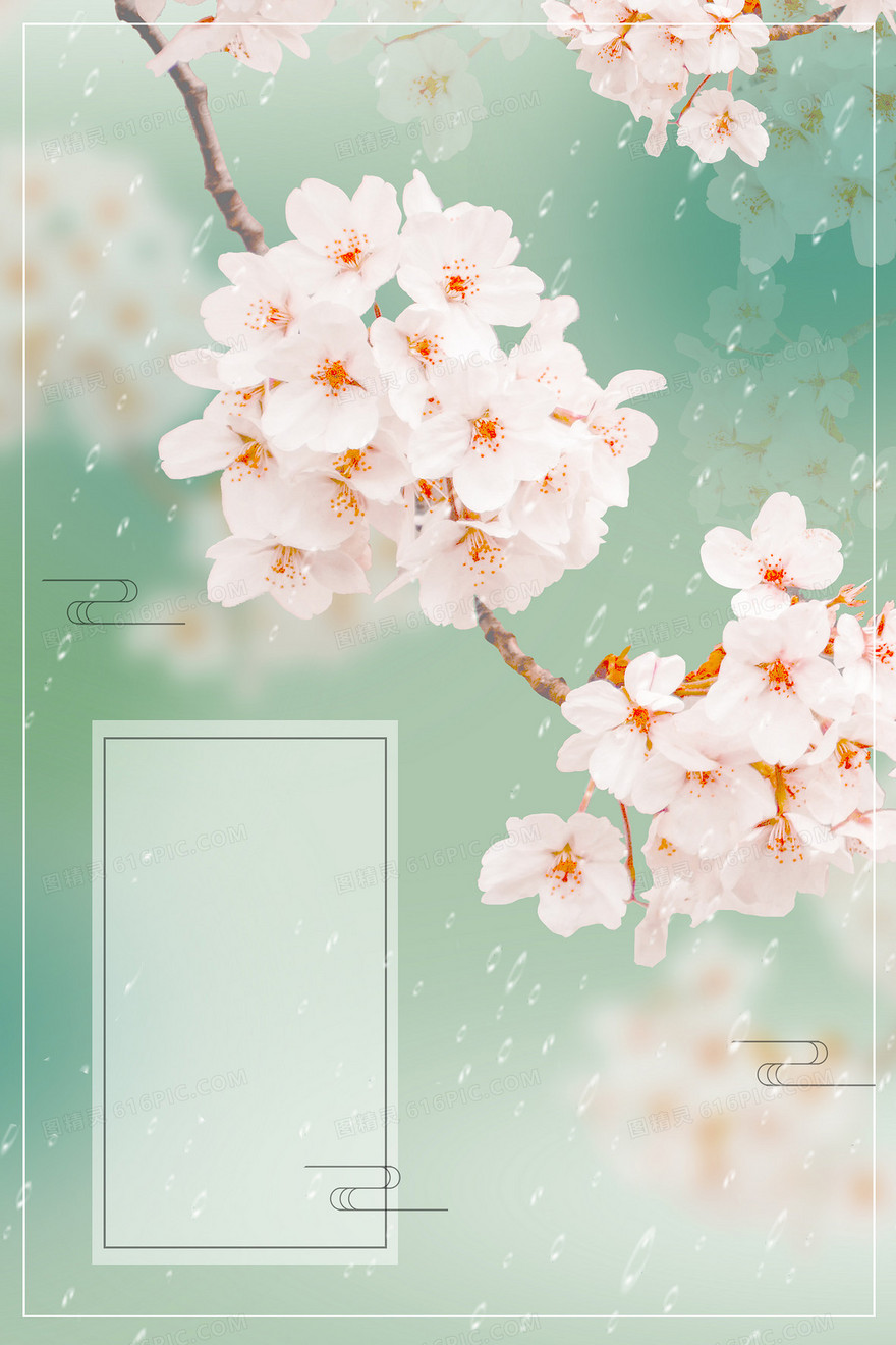 春分雨水花朵绽放摄影图合成背景