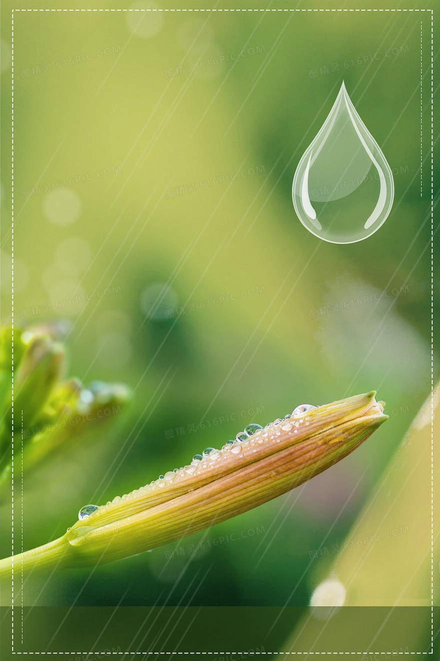 谷雨植物雨水摄影图合成春天背景