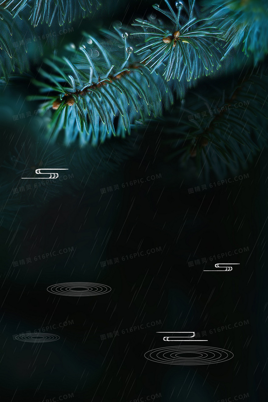 谷雨植物摄影图合成松叶背景
