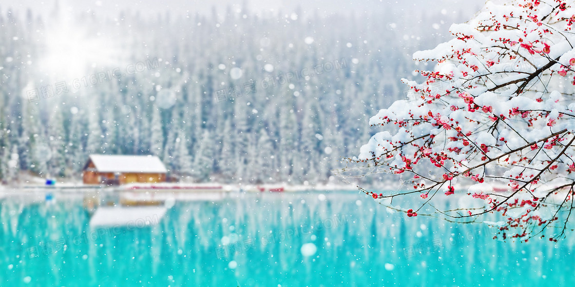 冬季湖水雪景梅花背景