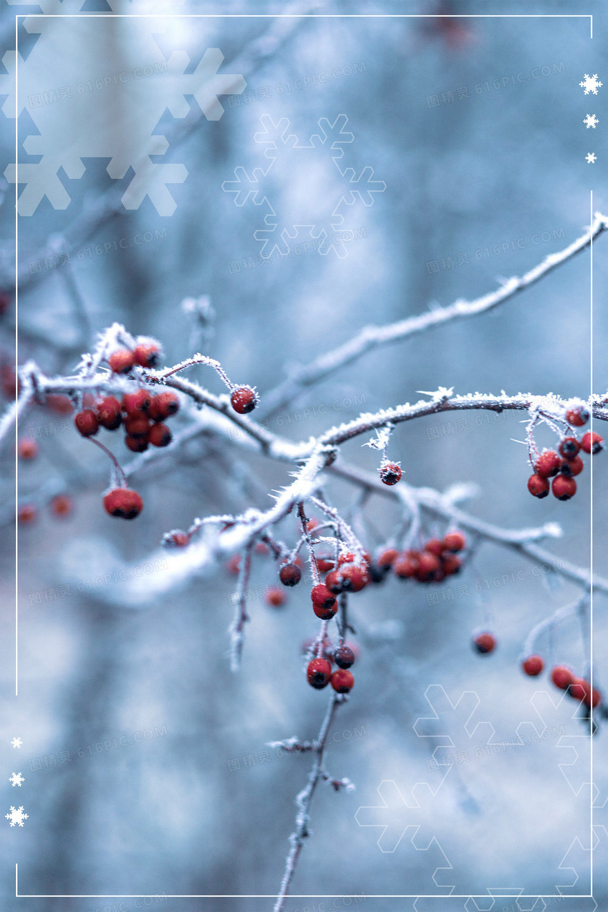 简约冬日小雪摄影合成背景