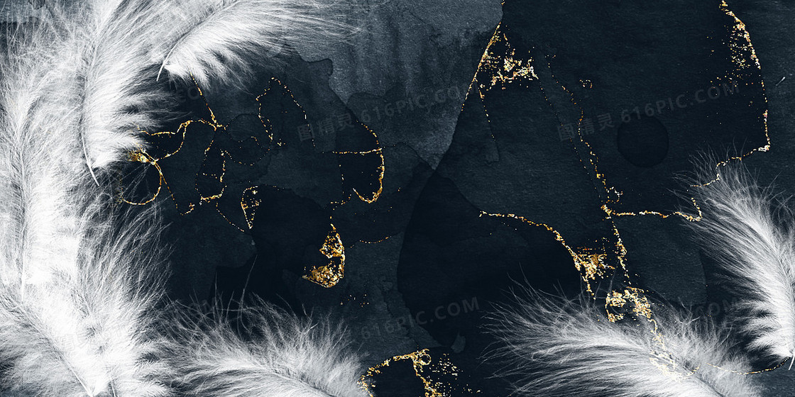 深色简约中国风羽毛背景