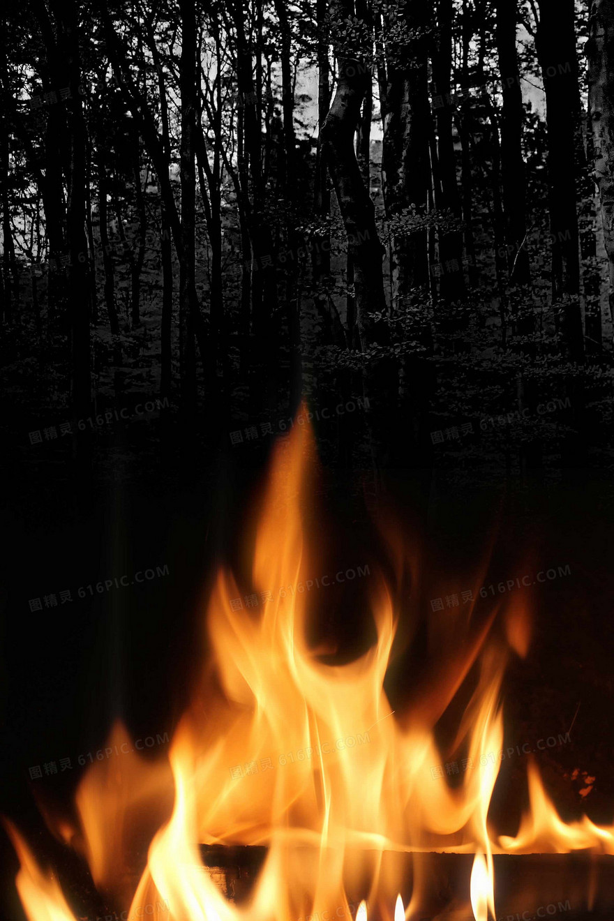 森林防火警示公益摄影图合成背景