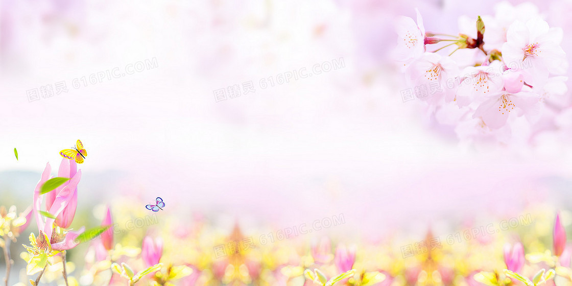 春天花朵蝴蝶粉色清新立春背景