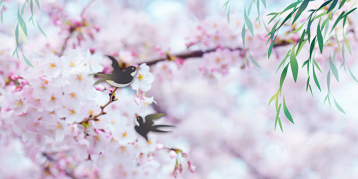 粉色樱花盛开春天背景