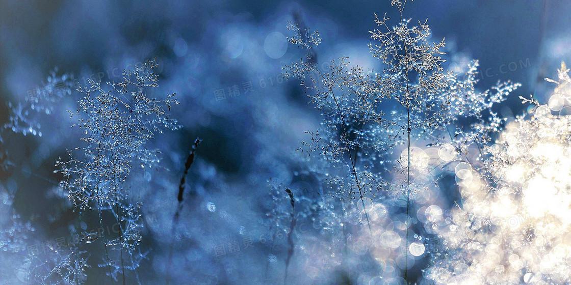 冬天蓝色冰冷雪花摄影合成背景