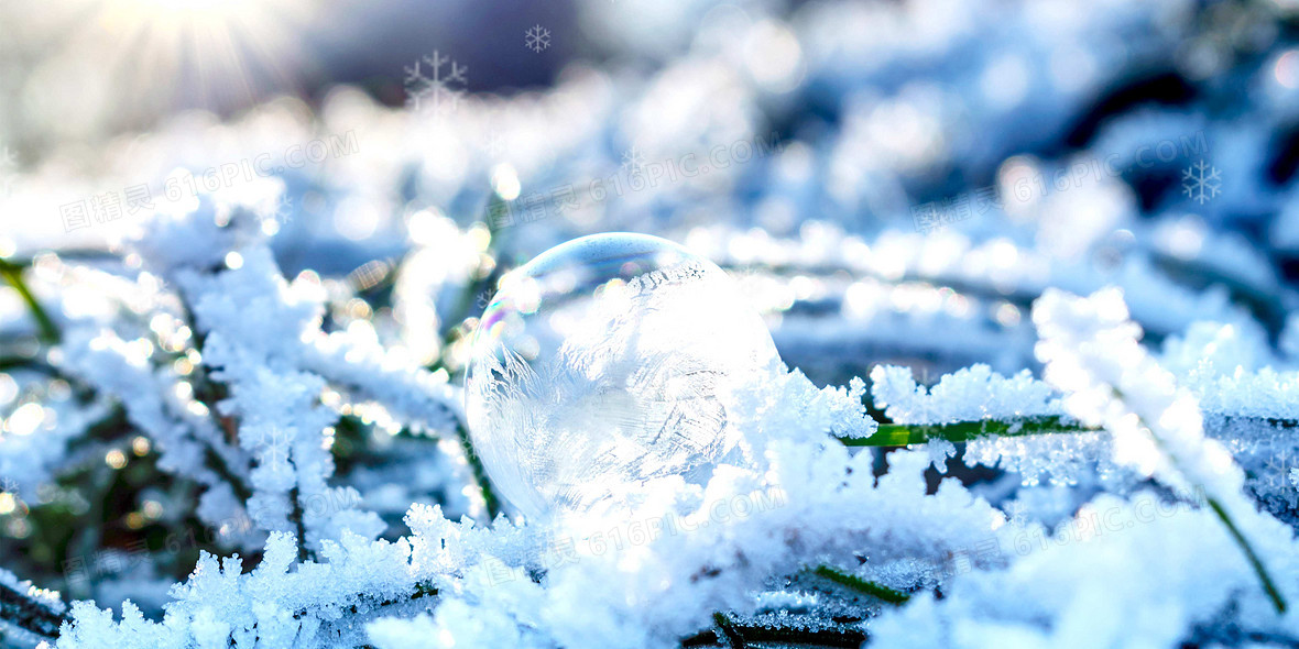 冬日唯美雪花雪霜摄影背景