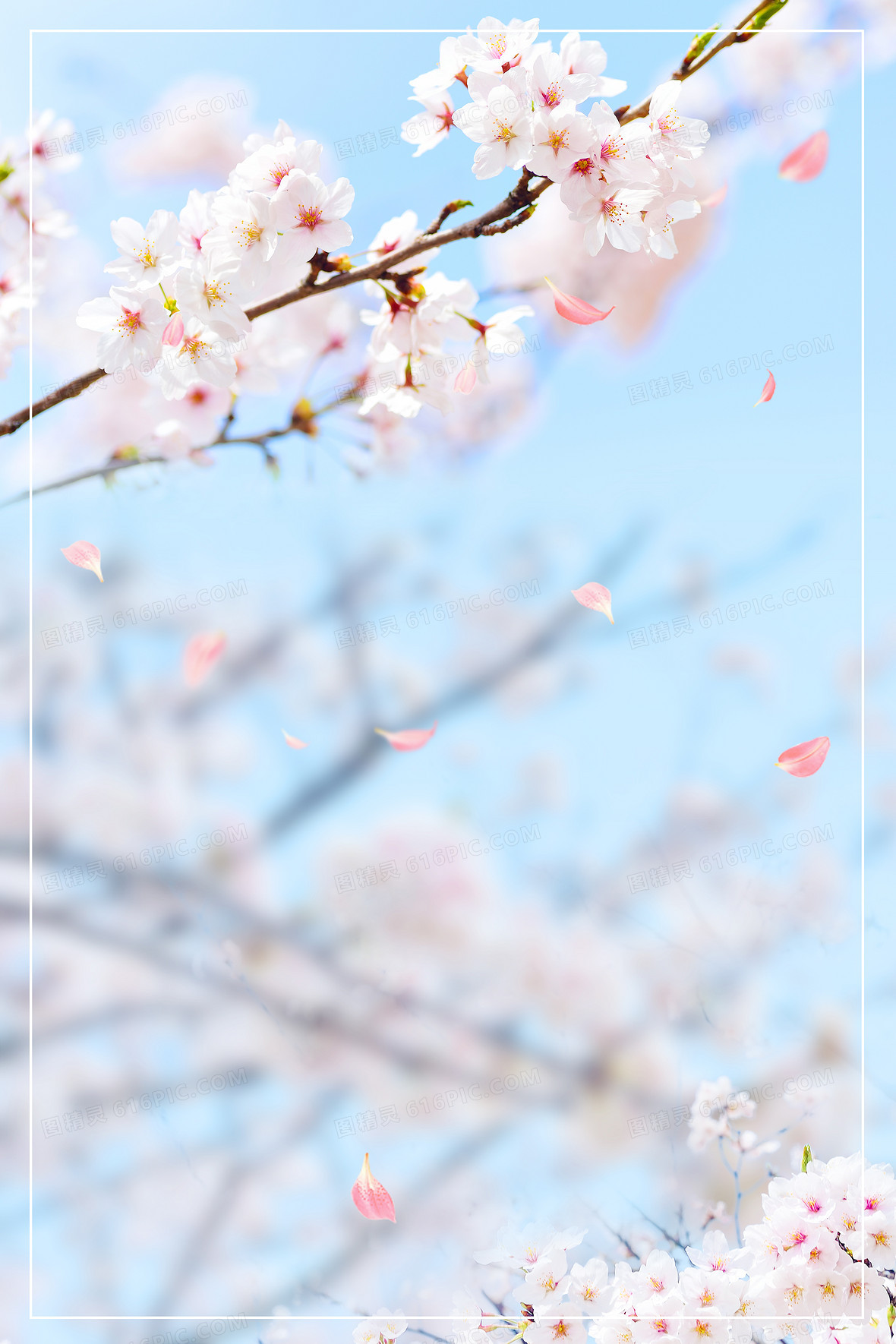春天桃花盛开小清新背景