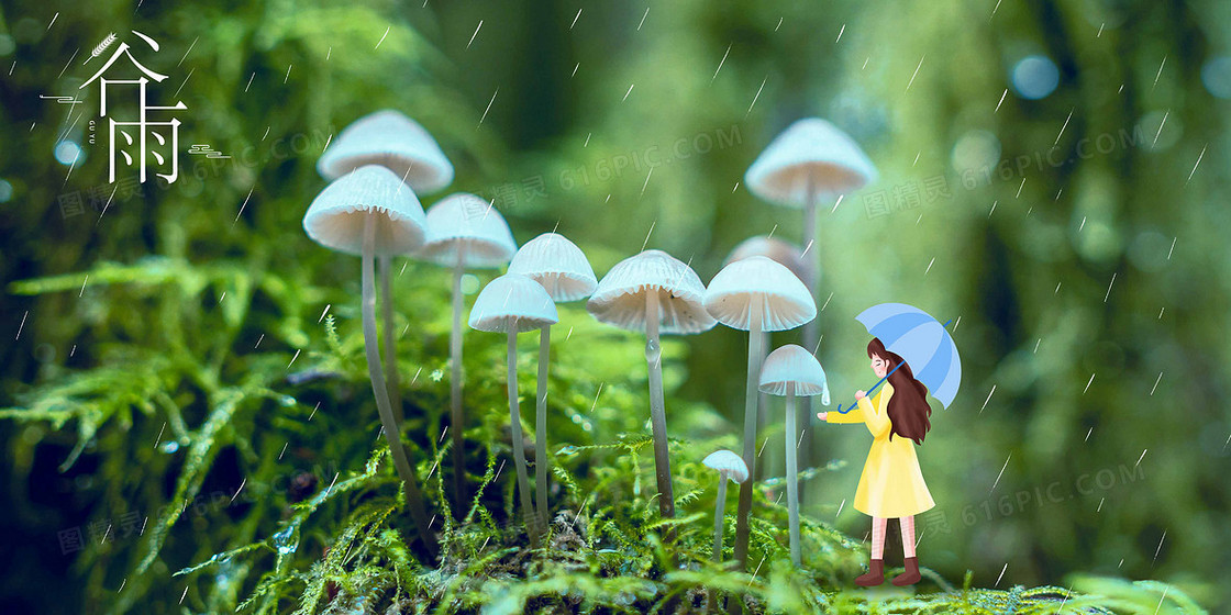 清新节气摄影手绘合成谷雨背景