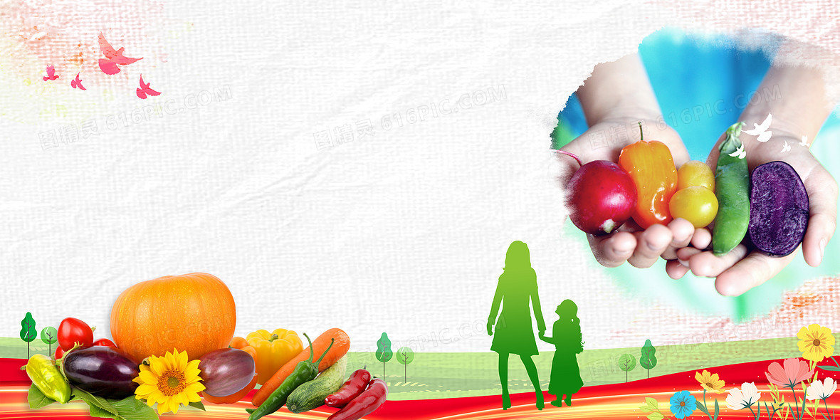 食品安全饮食健康绿色食品摄影图合成背景
