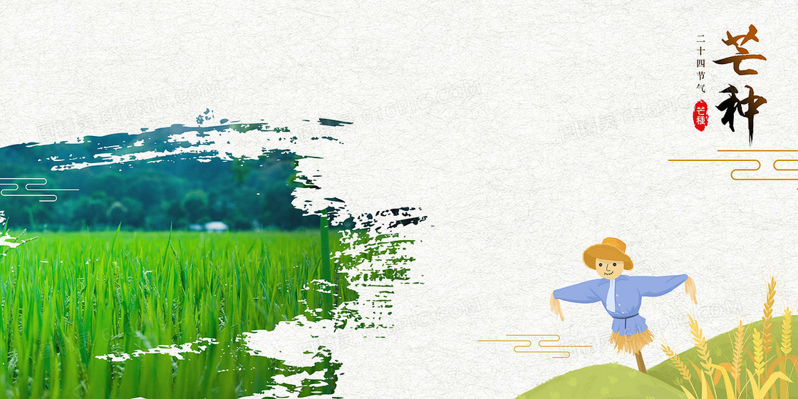芒种摄影合成创意节气banner