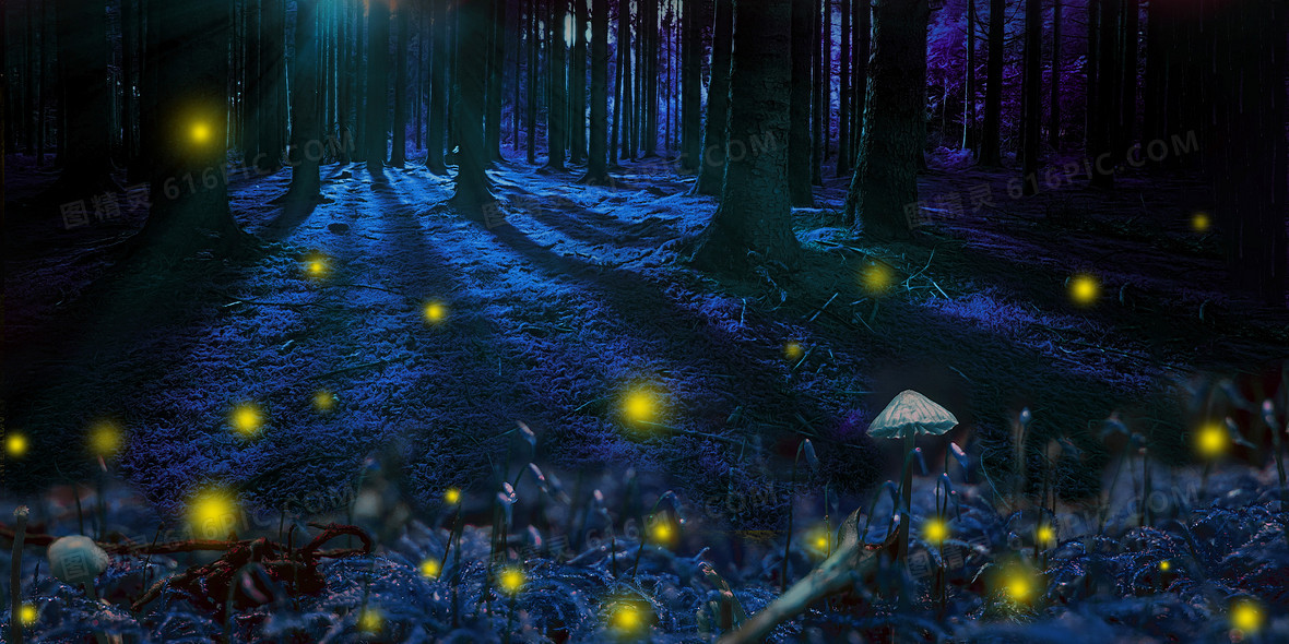 寂静的森林夜晚萤火虫背景