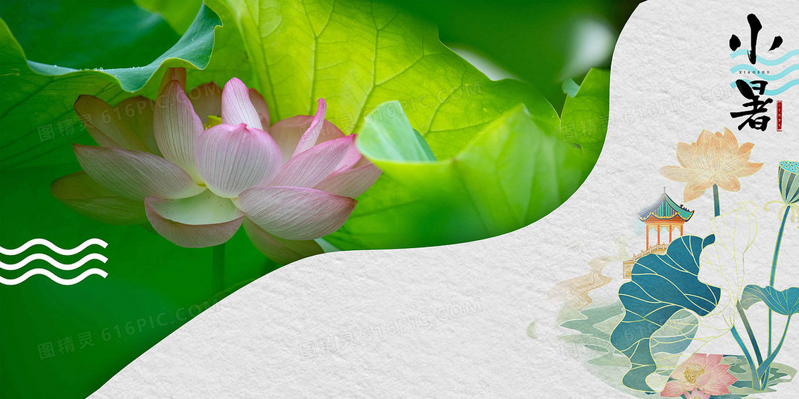 小暑简约摄影夏日合成图片