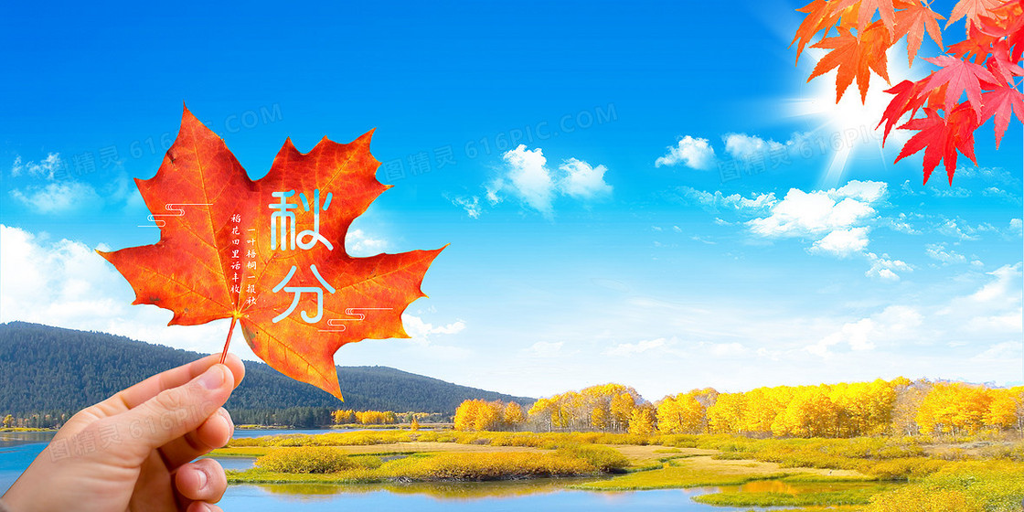 秋分枫叶秋天风景摄影图合成背景