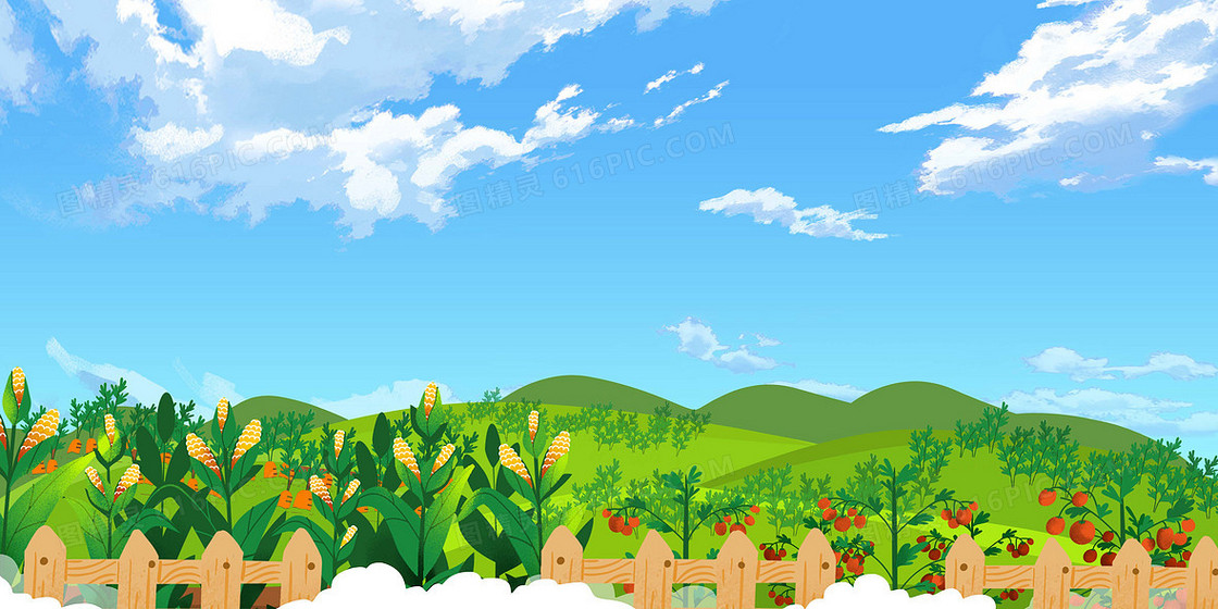 农田菜园蔬菜种植卡通背景