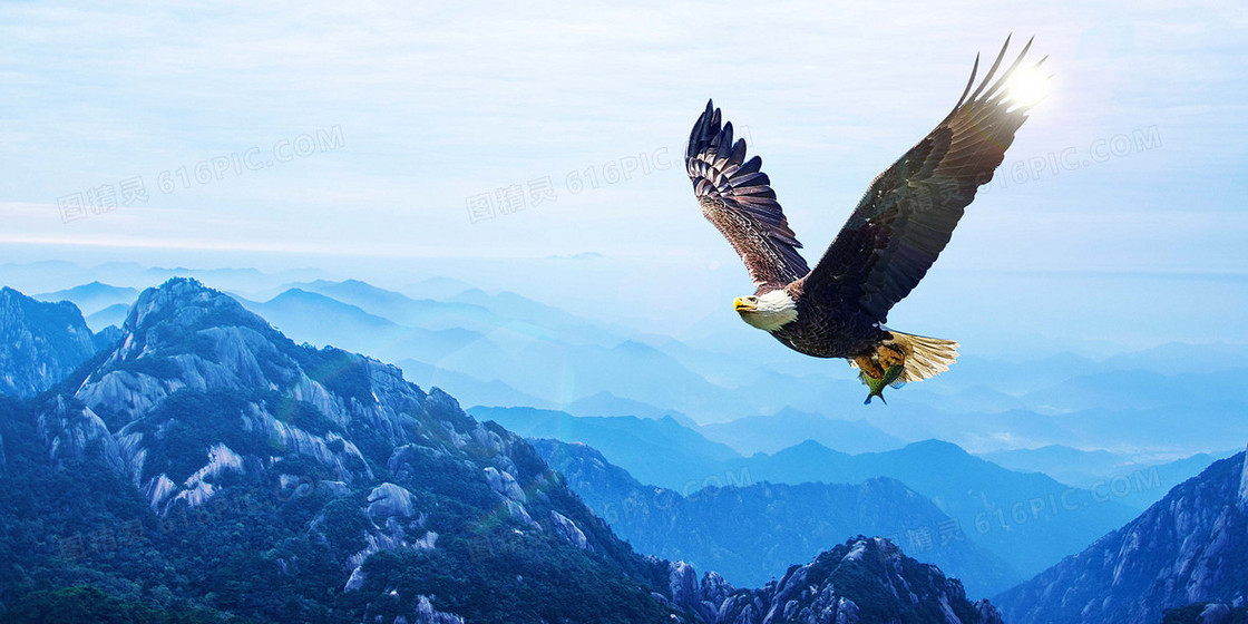 鹰击长空摄影合成背景