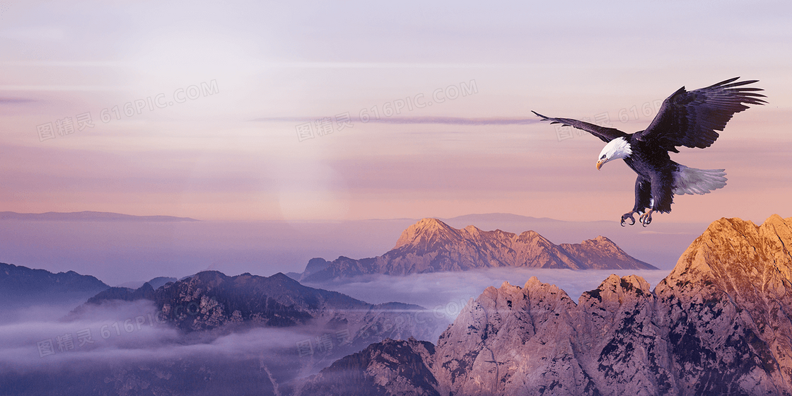 摄影合成鹰击长空大气背景