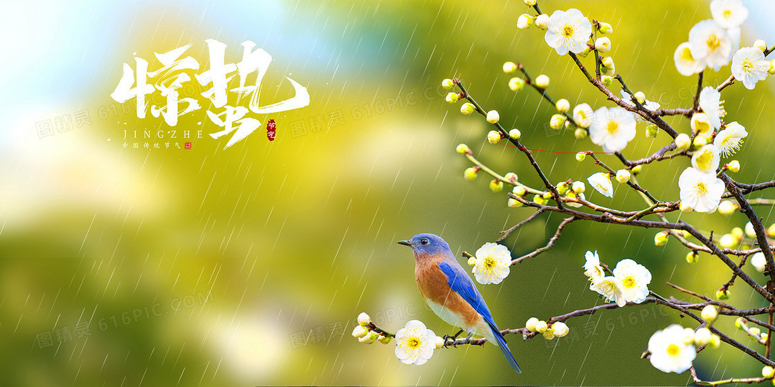 二十四节气惊蛰春暖花开摄影图合成背景