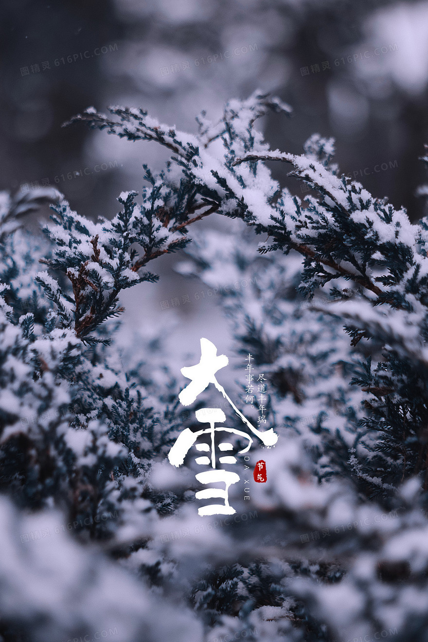 简约二十四节气大雪创意摄影海报背景