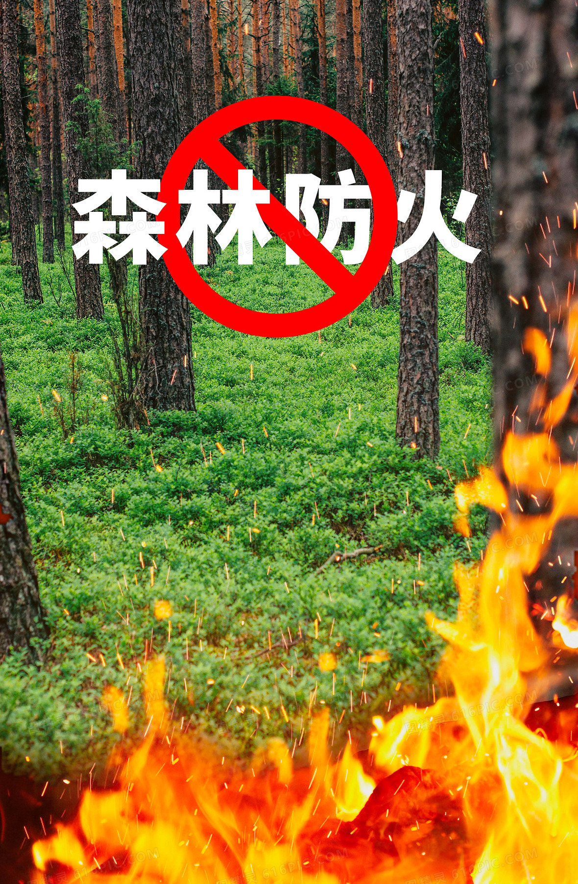 森林防火安全知识背景图