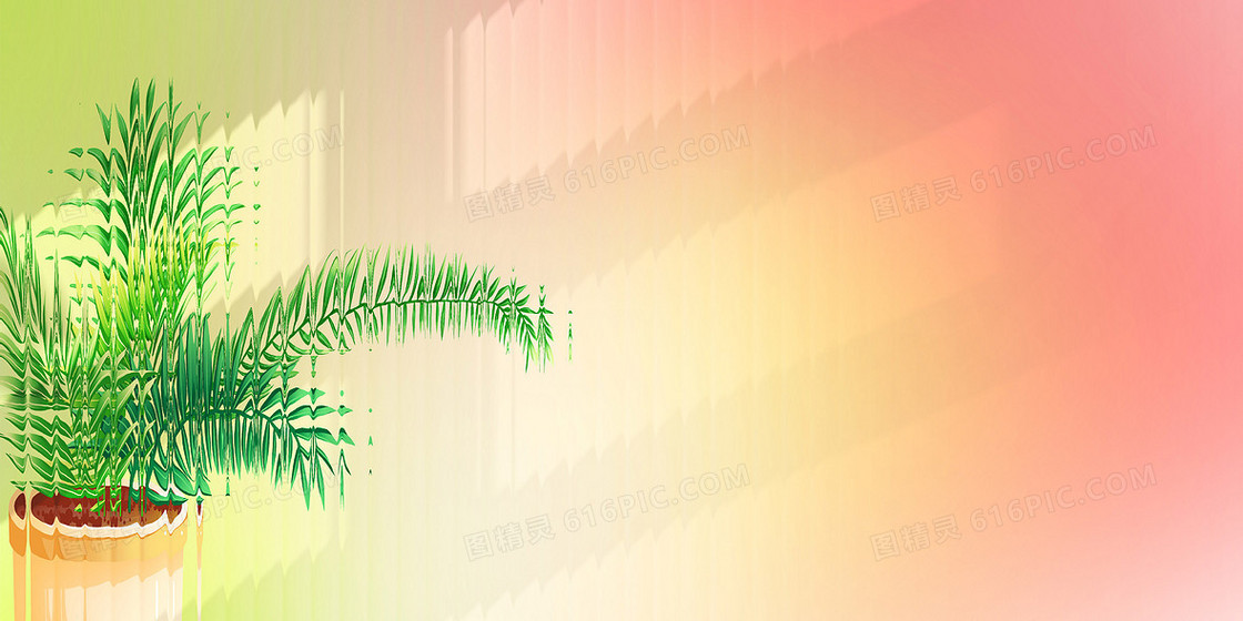 长虹玻璃质感植物窗影背景