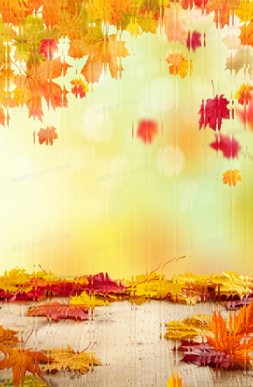 秋天落叶长虹玻璃质感背景