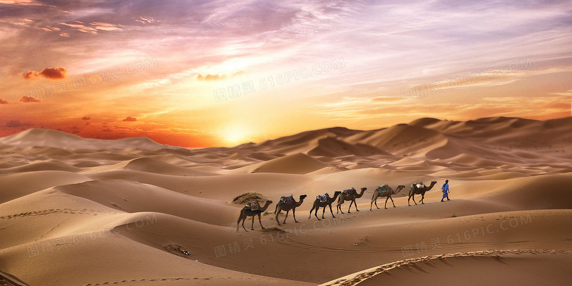 沙漠中行走的骆驼背景