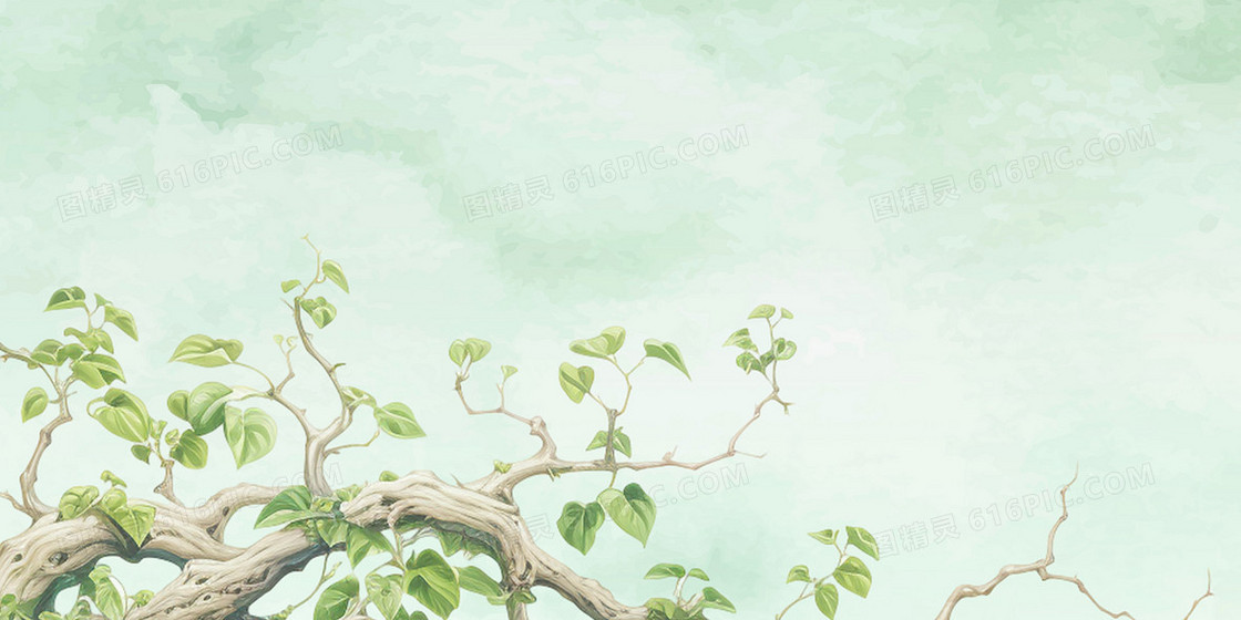 绿色植物藤蔓水彩文艺背景
