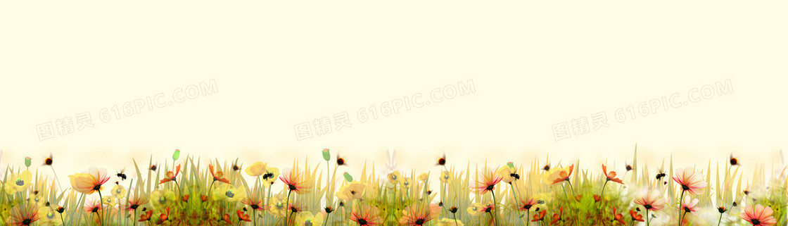 黄色 背景 花朵素材