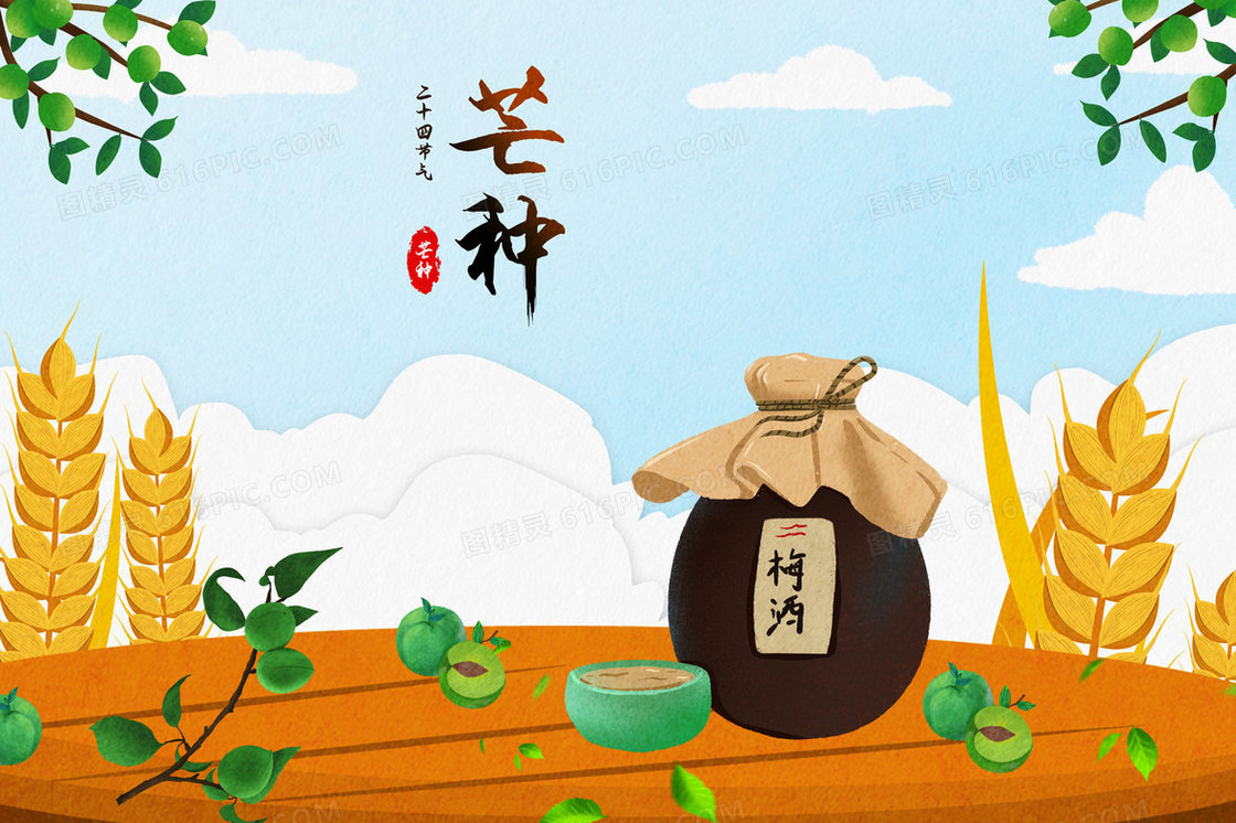 青梅煮酒芒种节气插画