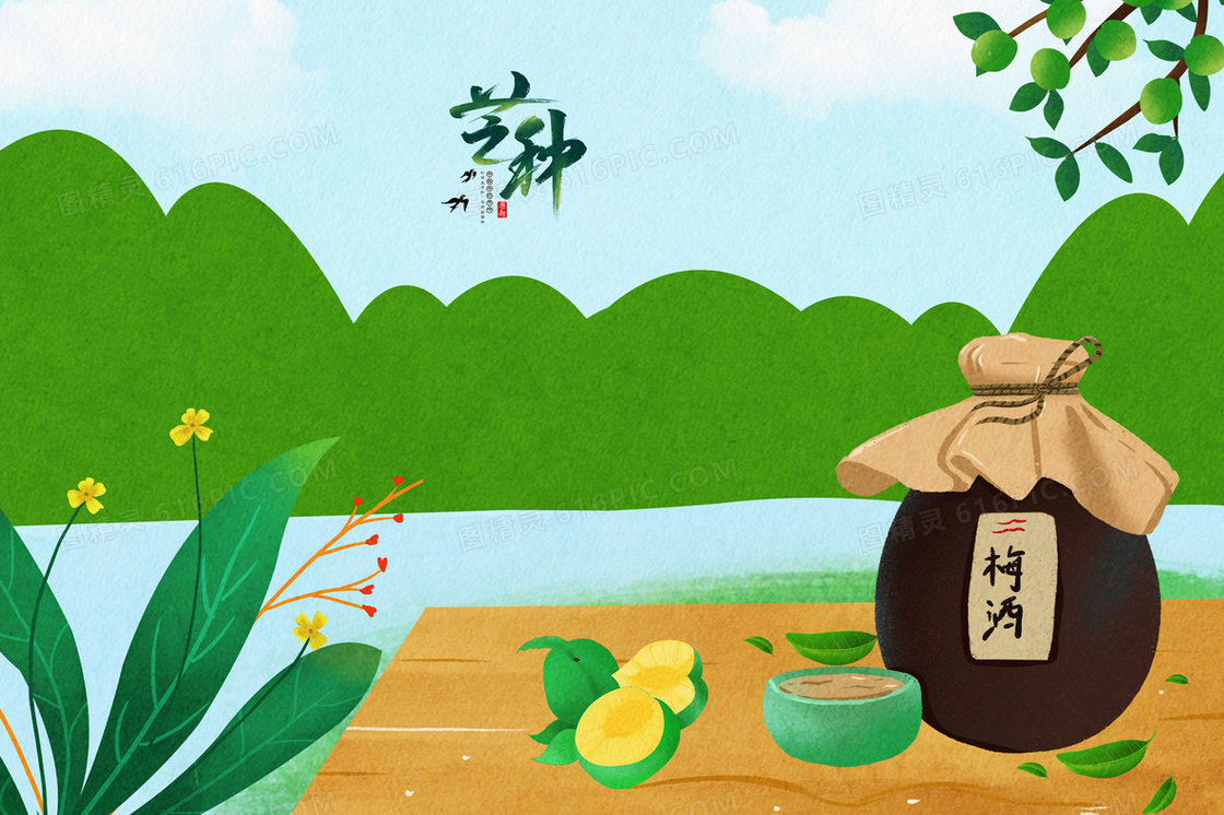 芒种青梅煮酒插画