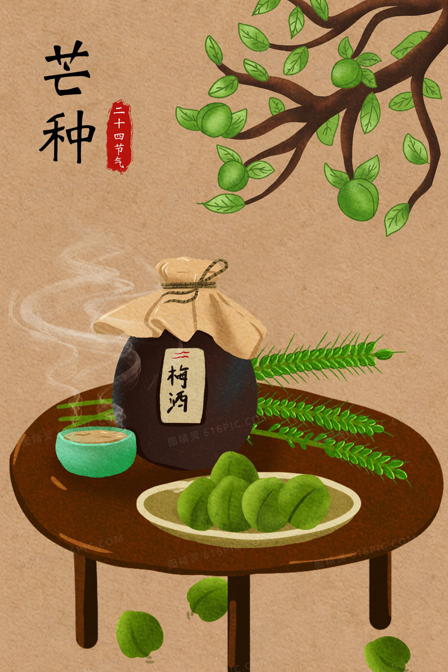 青梅酒芒种插画