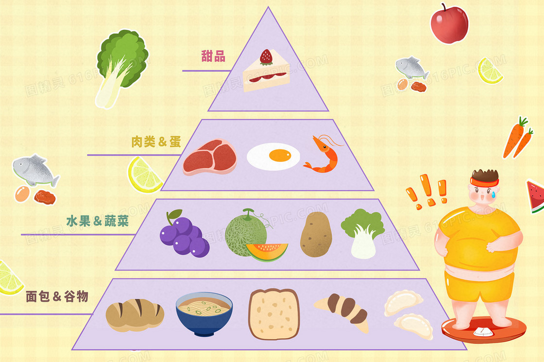 膳食营养金字塔科普插画