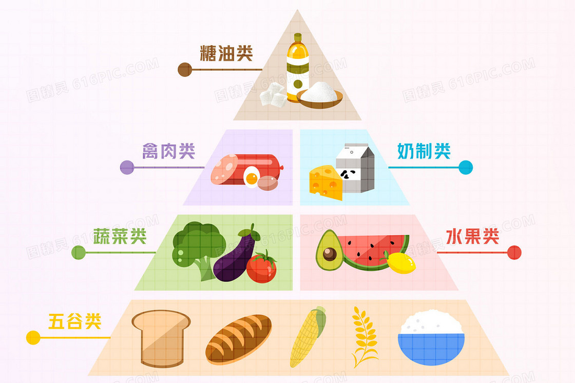 膳食金字塔科普宣传健康插画