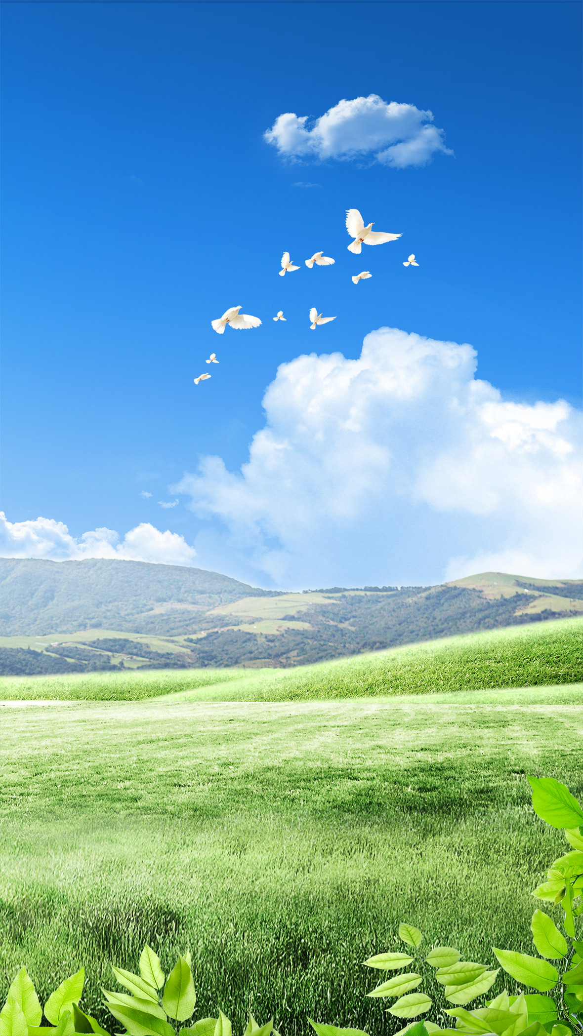 幸福的一天-蓝天绿草壁纸