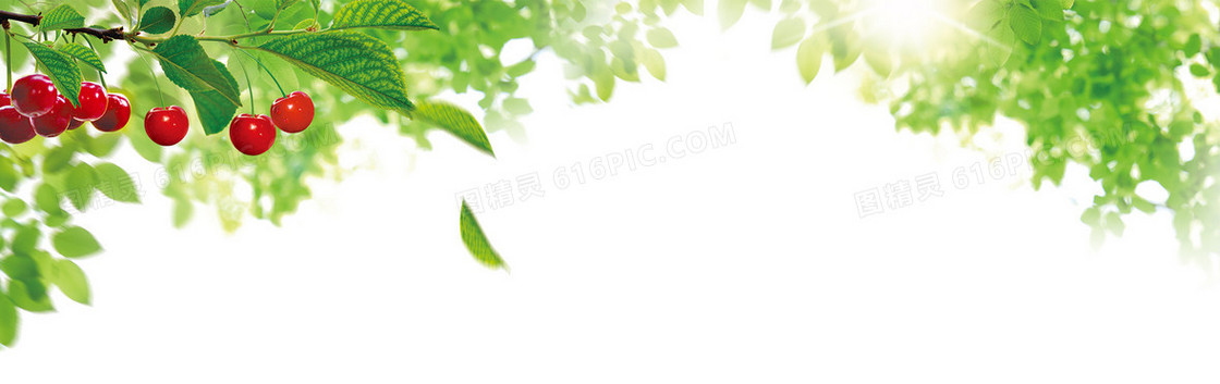 维生素保健樱桃清新背景banner