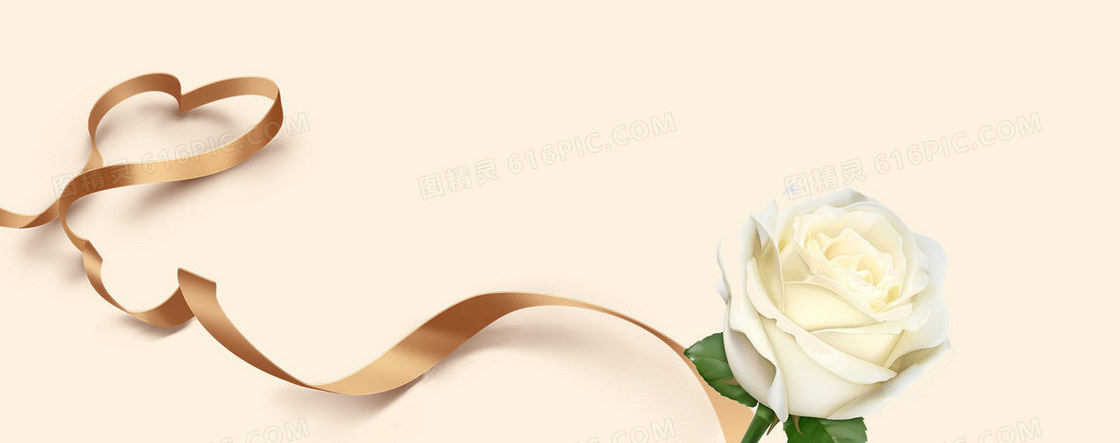 金色质感丝带白玫瑰背景