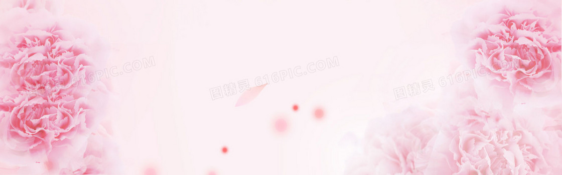 女装玫瑰banner背景图
